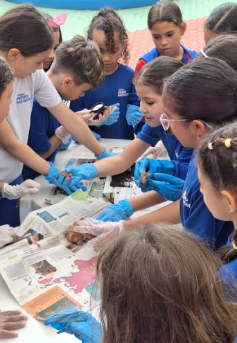 Atividade de campo Fund I